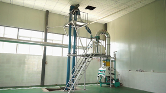 四川德昌核桃，菜籽，茶籽綜合加工生產線